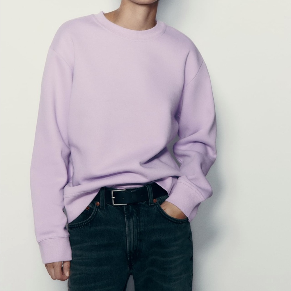ZARA sweatshirt- new with tags